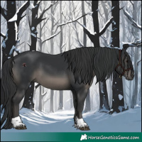 Horse Color:Black Tobiano Rabicano 