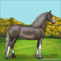 Horse Color:Silver Black Rabicano