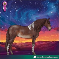 Horse Color:Chocolate Brown Tobiano Rabicano