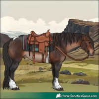 Horse Color:Brown Tobiano Rabicano 