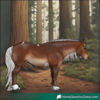 Horse Color:Silver Brown Tobiano Rabicano