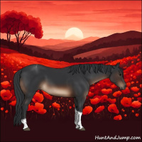 Horse Color:Brown Tobiano Rabicano
