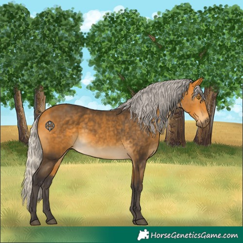 Horse Color:Silver Buckskin 