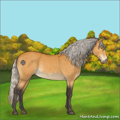 Horse Color:Silver Buckskin 
