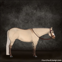 Horse Color:Silver Bay Dun 