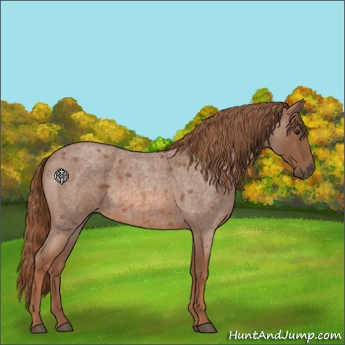Horse Color:Red Roan 