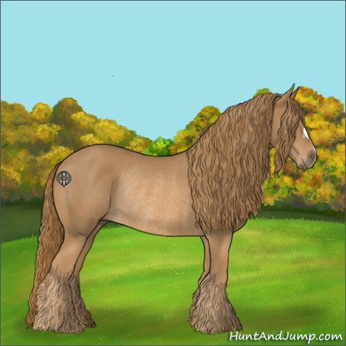Horse Color:Chestnut Rabicano 