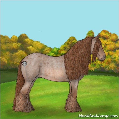 Horse Color:Red Roan 