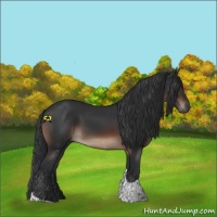Horse Color:Brown Tobiano Rabicano 