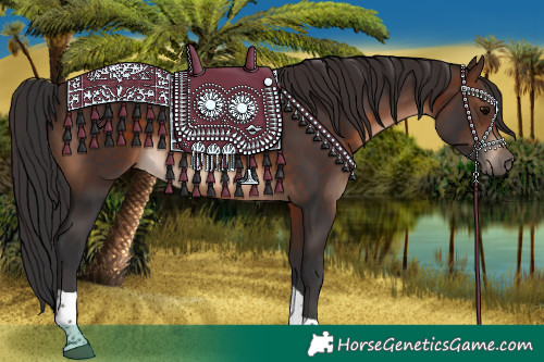 Horse Color:Brown Tobiano Rabicano