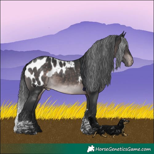 Horse Color:Platinum Brown Tobiano Blanket Rabicano