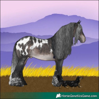 Horse Color:Platinum Brown Tobiano Blanket Rabicano 