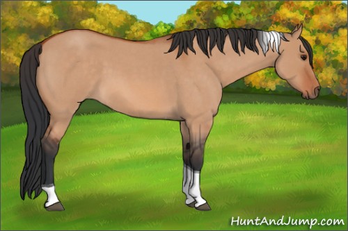 Horse Color:Bay Roan Dun Tobiano 