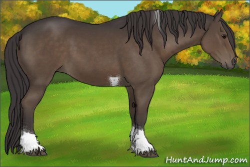 Horse Color:Smoky Black Tobiano 