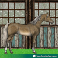 Horse Color:Silver Buckskin Dun Tobiano Rabicano