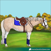 Horse Color:Silver Classic Champagne Ice Splash