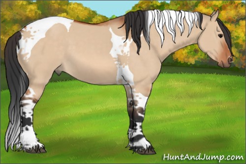 Horse Color:Bay Dun Tobiano 