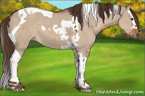 Horse Color:Liver Red Dun Splash Tobiano