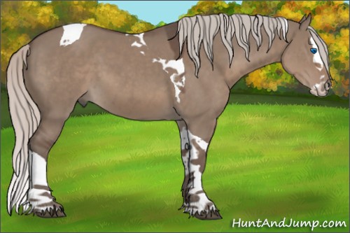 Horse Color:Silver Grullo Splash Tobiano 