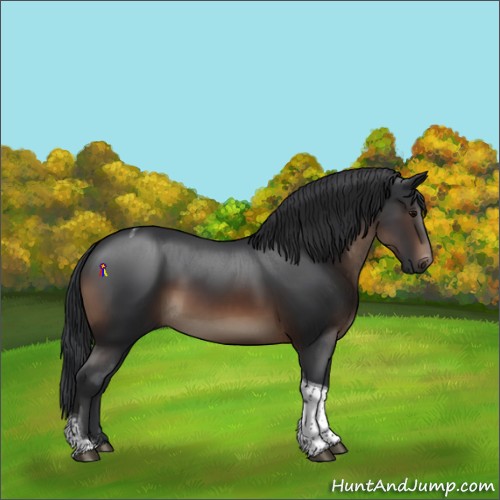 Horse Color:Brown Tobiano Rabicano