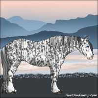 Horse Color:Blue Roan Sabino Splash  and Blue Roan Sabino Splash Leopard 