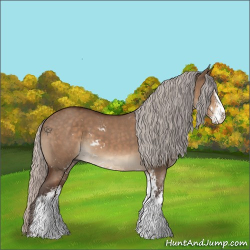 Horse Color:Silver Brown Dun Sabino 