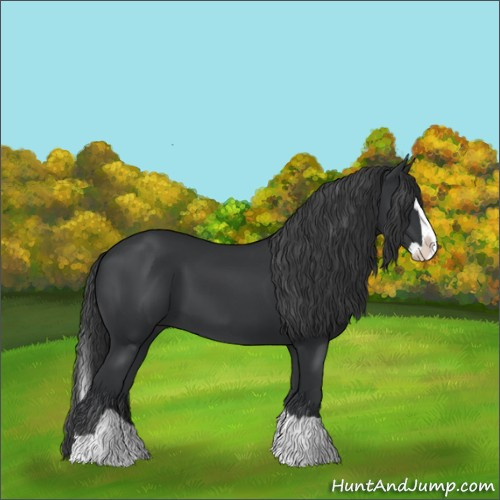 Horse Color:Black Splash