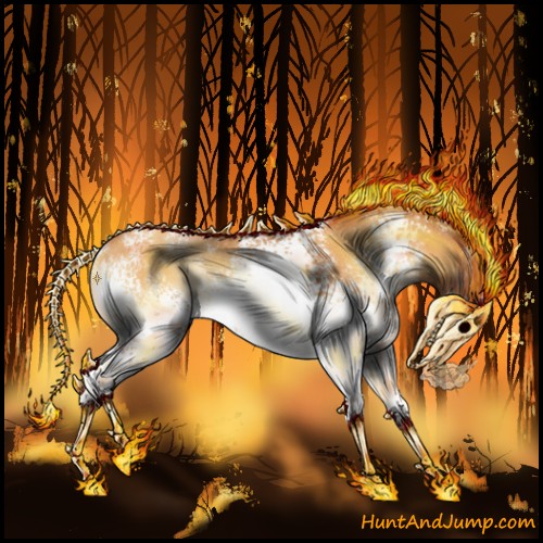 Horse Color:White Spotted Sable Cream Champagne Onyx Rabicano 