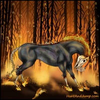 Horse Color:Platinum Midnight Chocolate Amber Champagne Chinchilla Onyx Rabicano 