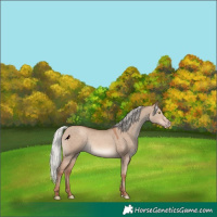 Horse Color:Silver Sable Champagne Dun 