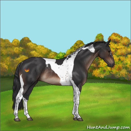 Horse Color:Brown Tobiano Rabicano
