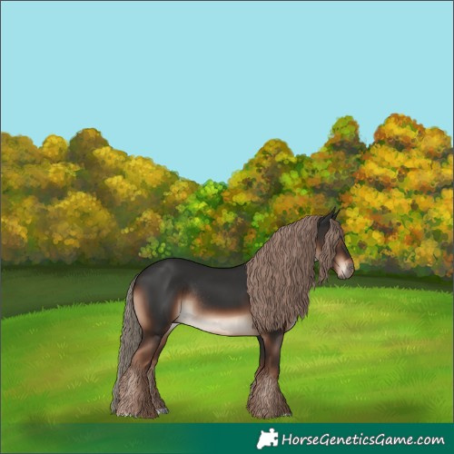 Horse Color:Liver Chestnut Rabicano