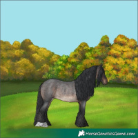 Horse Color:Brown Roan Rabicano 