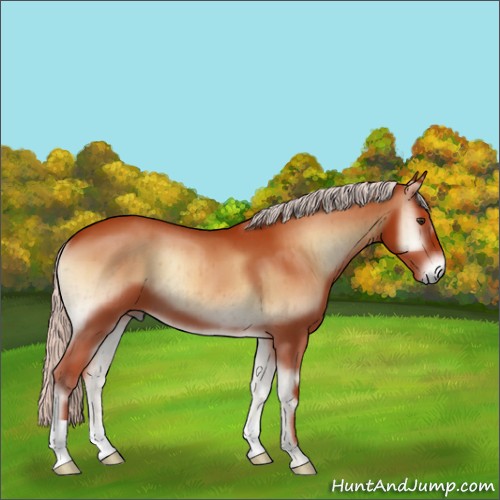 Horse Color:Chocolate Silver Bay Onyx Brindle 
