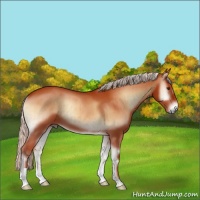 Horse Color:Chocolate Silver Bay Onyx Brindle 