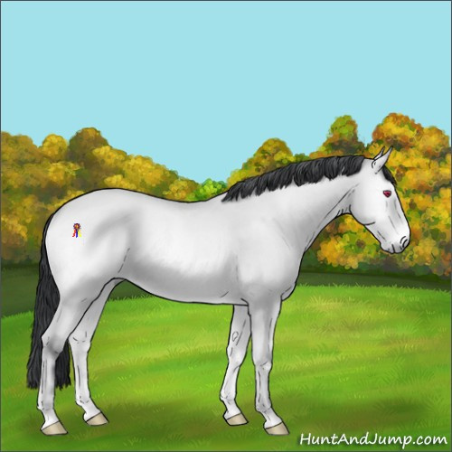 Horse Color:Bay Chinchilla Onyx Brindle 