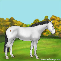Horse Color:Bay Chinchilla Onyx Brindle 