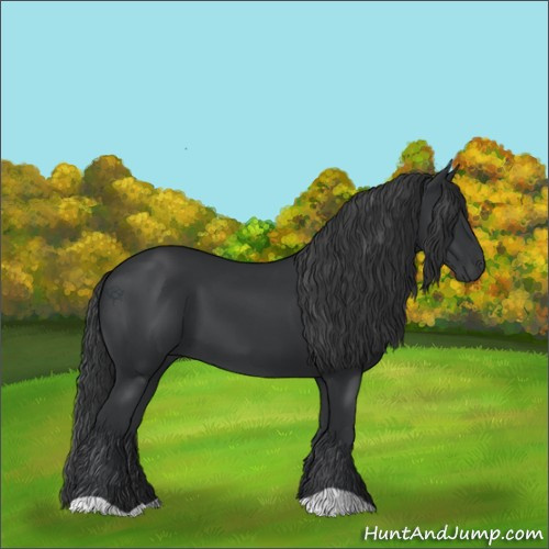 Horse Color:Black 