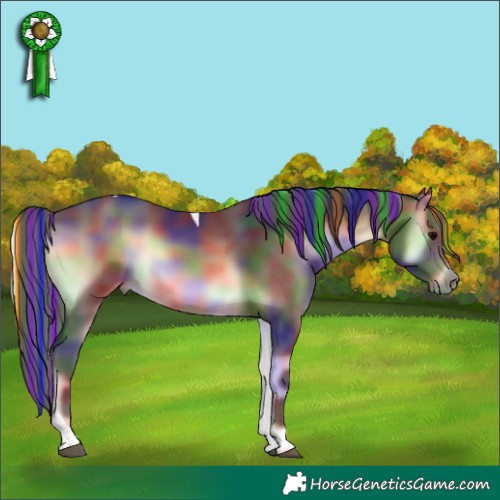 Horse Color:Painted Nacre Brown Onyx Tobiano Rabicano 