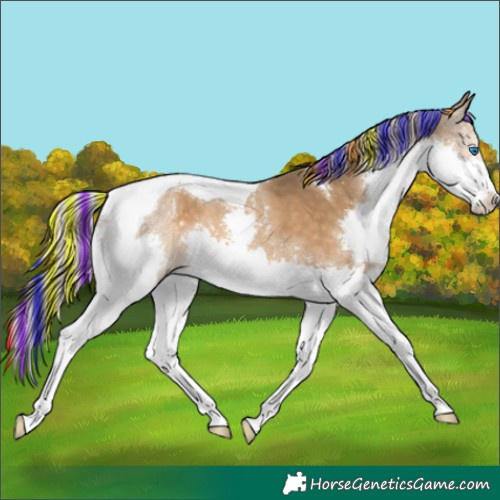 Horse Color:Painted Chocolate Palomino Splash Tobiano