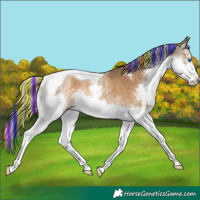 Horse Color:Painted Chocolate Palomino Splash Tobiano 