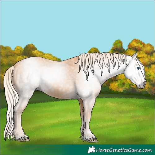 Horse Color:Gray Cremello 