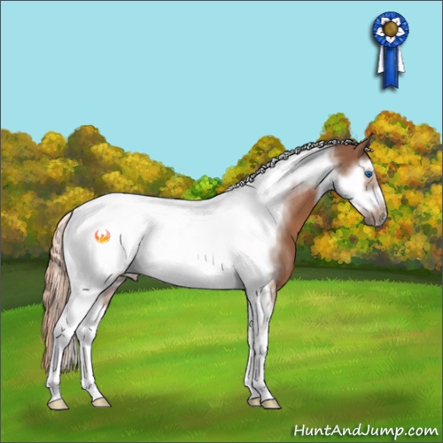 Horse Color:Chestnut Sabino Splash Tobiano Frame 