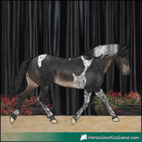 Horse Color:Brown Tobiano Rabicano