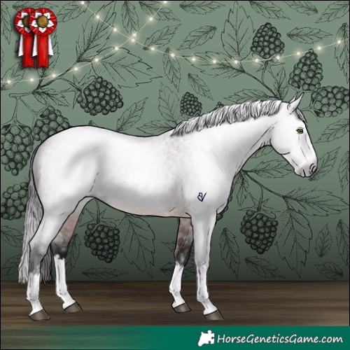 Horse Color:Gray Bay Roan Splash Rabicano 