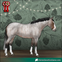Horse Color:Gray Bay Roan Splash Rabicano 