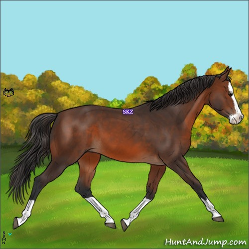 Horse Color:Brown Splash