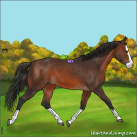 Horse Color:Brown Splash