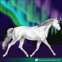 Horse Color:Gray Amber Champagne Tobiano