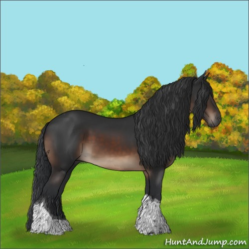 Horse Color:Brown Tobiano Rabicano